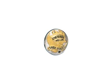 70-03 SportsterLive To Ride - Eagle Spirit Point Cover 2-hole, vertical Chrome Gold