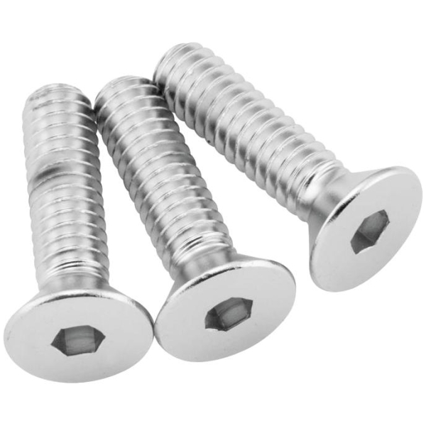 Ignition Module Bolt Kit  Chrome - 98-03 Sportster