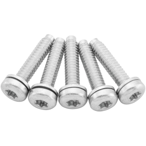 OEM Replacement Fuel Pump Screws for Sportster