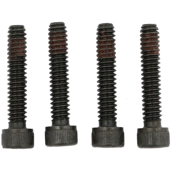 il10-24 x 1" Torx Stator Mounting Screws Pack of 4  - 91-06 Dyna, 89-06 Softa