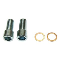 06-17 Dyna, 07-17 SoftailFork Tube Damper 14mm Bolt and Seal Kit