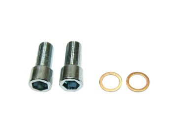06-17 Dyna, 07-17 SoftailFork Tube Damper 14mm Bolt and Seal Kit