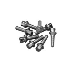 77-84 FL Shovel, 77-84 FX Shovel, 85-94 FX Model, 91-98 Dyna, 84-99 Softail, 86-98 TouringTappet Engine Block Screw Set 1/4" - 20 Chrome