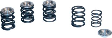 DUAL VALVE SPRINGS