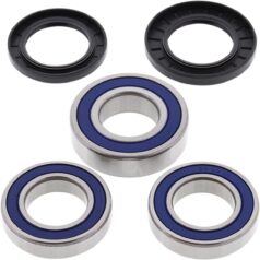 WHEEL BEARING & SEAL KIT REAR SUZUKI