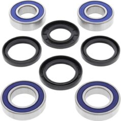 WHEEL BEARING & SEAL KIT REAR APRILIA