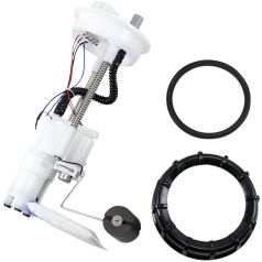 FUEL PUMP MODULE 47-1001