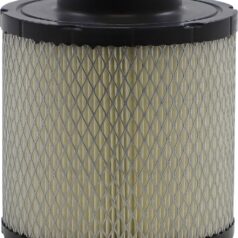 AIR FILTER POLARIS