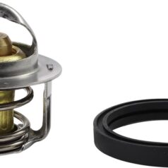 THERMOSTAT POLARIS