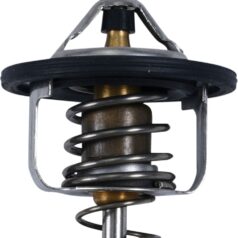 THERMOSTAT POLARIS