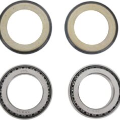STEERING STEM BEARING & SEAL KIT APRILIA/DUCATI/KAWASAKI