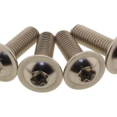 21-24 Sportster S RH1250SHeatshield Screw Kit Stainless Steel
