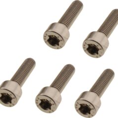 21-24 Sportster RHFork Clamp Screw Kit Stainless Steel