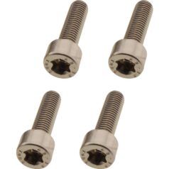 21-24 Sportster RHHandlebar Clamp Screw Kit Stainless Steel