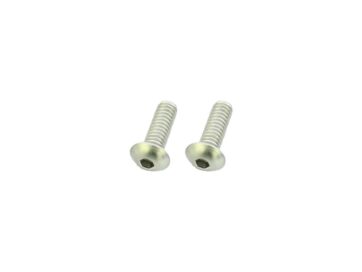 70-84 FL Shovel, 71-84 FX Shovel, 85-94 FX Model, 91-99 Dyna, 84-99 Softail, 85-99 Touring, 91-20 SportsterPoint Cover Screw Kit Supplied are 2 screws Stainless Steel