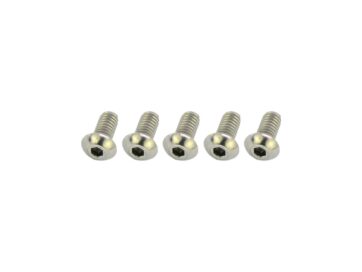 00-17 Softail, 00-16 TouringPoint Cover Screw Kit Supplied are 5 screws Stainless Steel