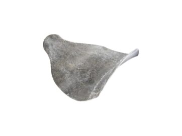08 FXCW, 08-11 FXCWC, 13-14 FXSBSE, 14-17 FXSB, 16-17 FXSEFiber Glas Solo Seat Plate for Thunderbike Steel Fender For 260/18" Tire and TB Alu-Tank
