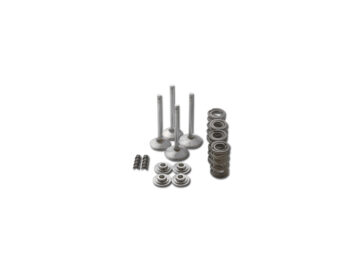 66-84 FL Shovel, 71-84 FX ShovelRace Master Valve Train Component Kit