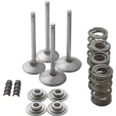 85-94 FX Model, 91-98 Dyna, 84-99 Softail, 85-98 TouringRace Master Valve Train Component Kit