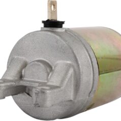 STARTER / NATURAL / SUZUKI