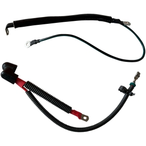 CABLE ASSY BATTERY NEG/POS 21-