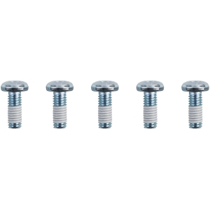 SCREWS R RTR 3/8-16TORX