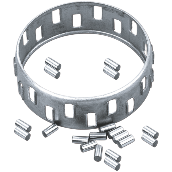 GZP Bearing retainer with rollers #37567