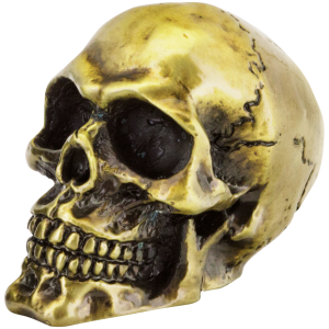 GENUINE ZODIAC SKULLS GZP Bronze fender mounted skull