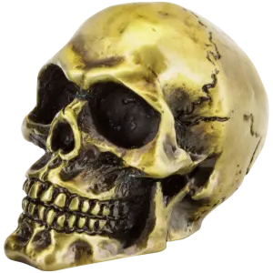 GENUINE ZODIAC SKULLS GZP Bronze fender mounted skull