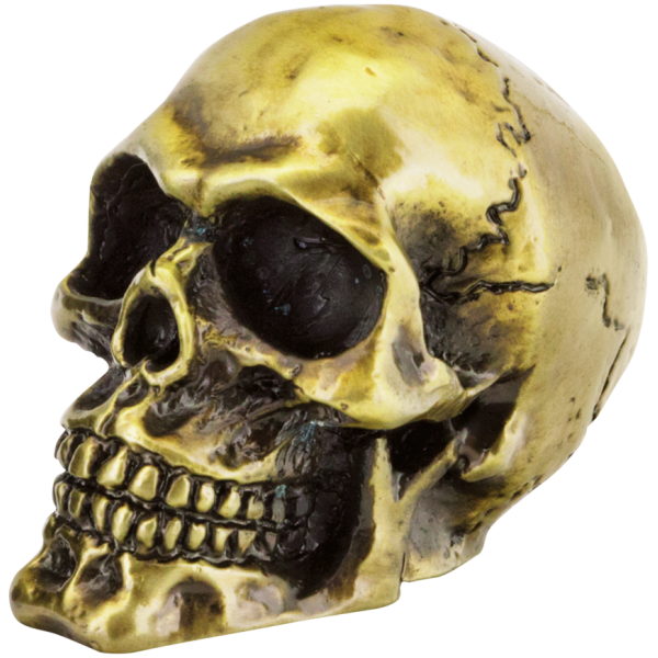 GENUINE ZODIAC SKULLS GZP Bronze fender mounted skull