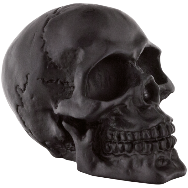 GENUINE ZODIAC SKULLS GZP Black fender mounted skull