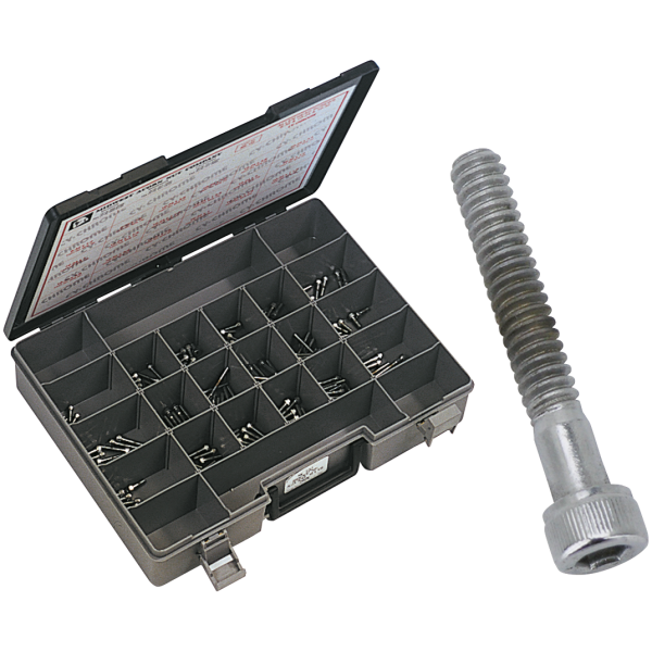 CHROME PLATED ALLEN HEAD SCREWS ASSORTMENT Ass. tray chrome allen head screws (180)