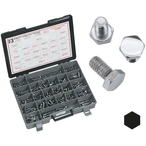 CHROME PLATED HEX HEAD CAP SCREWS ASSORTMENT 10pck Chrome hex head screws 3/8-24x1