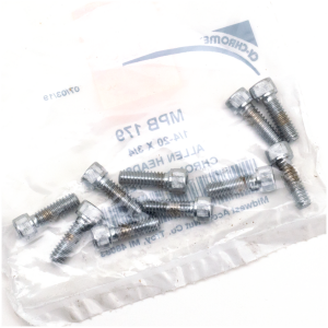 CHROME PLATED ALLEN HEAD SCREWS ASSORTMENT (1) 10pck Chrome allen screws 1/4-20x3/4