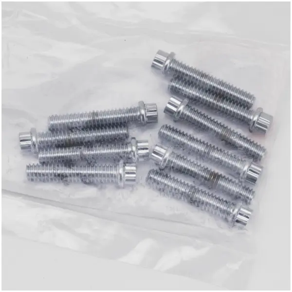 CHROME PLATED 12 POINT BOLT ASSORTMENT TRAY 10pck 12-point bolts,1/4-20 x 1 1/4",