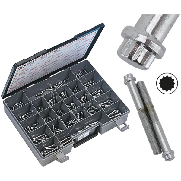 CHROME PLATED 12 POINT BOLT ASSORTMENT TRAY 10pck 12-point bolts,1/4-20 x 2 1/4"