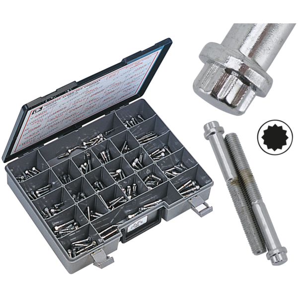 CHROME PLATED 12 POINT BOLT ASSORTMENT TRAY 10pck 12-point bolts,5/16-18 x 3/4",