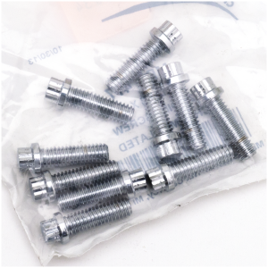 CHROME PLATED 12 POINT BOLT ASSORTMENT TRAY 10pck 12-point bolts,5/16-18 x 1",