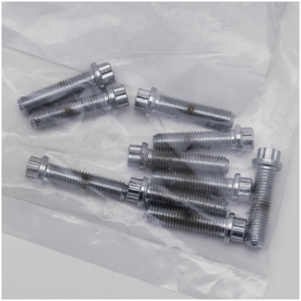 CHROME PLATED 12 POINT BOLT ASSORTMENT TRAY 10pck 12-point screw 1/4-28x1", UNF