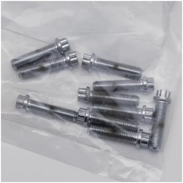 CHROME PLATED 12 POINT BOLT ASSORTMENT TRAY 10pck 12-point screw 1/4-28x1", UNF