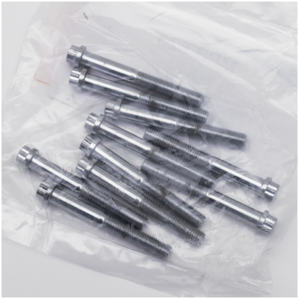 CHROME PLATED 12 POINT BOLT ASSORTMENT TRAY 10pck 12-point screw 1/4-28x2", UNF