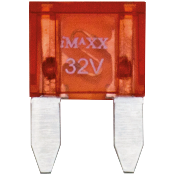 BLADE TYPE MINI FUSES 10pck Flat Mini Fuse 10 Amp.