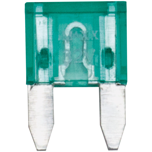 BLADE TYPE MINI FUSES 10pck Flat Mini Fuse 30 Amp.