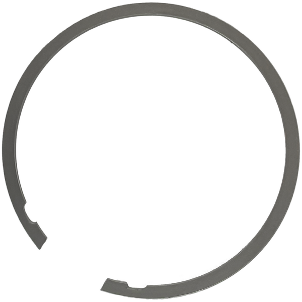 GZP Retaining ring diaphragm spring