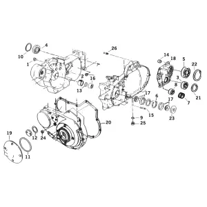 Bearing Mainshaft XL