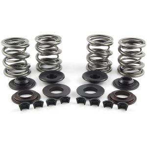AV&V VALVE SPRING KITS Valve Spring Kit Pan/Shovelheads .850" 1