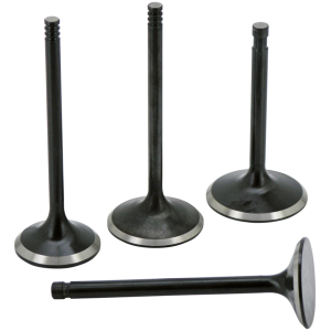 AV&V HIGH FLOW VALVES Valve Intake EVO+TC 5/16 stem .1.845"x4.