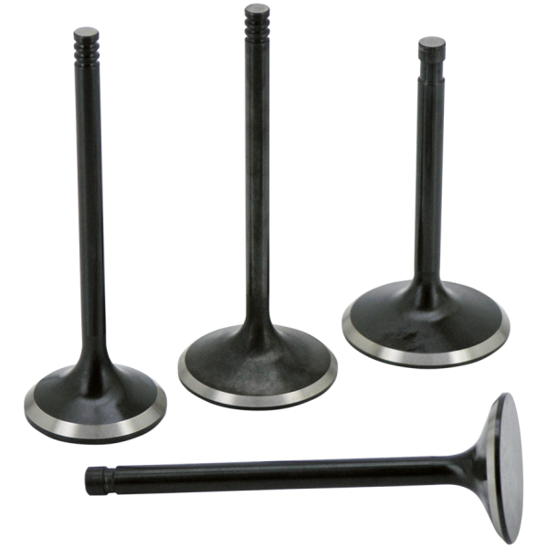 AV&V HIGH FLOW VALVES Valve Intake EVO+TC 5/16 stem .1.845"x4.
