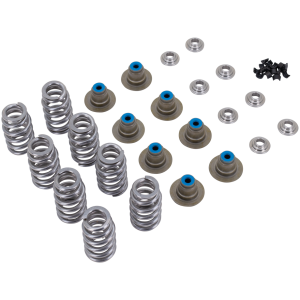 STAR RACING MILWAUKEE EIGHT HIGH LIFT VALVE SPRING KIT Star Racing High Lift Spring Kit ME17-Up
