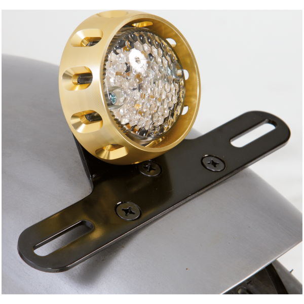 CUSTOM LED TAILLIGHTS GZP Brass RII LED taillight w/license br